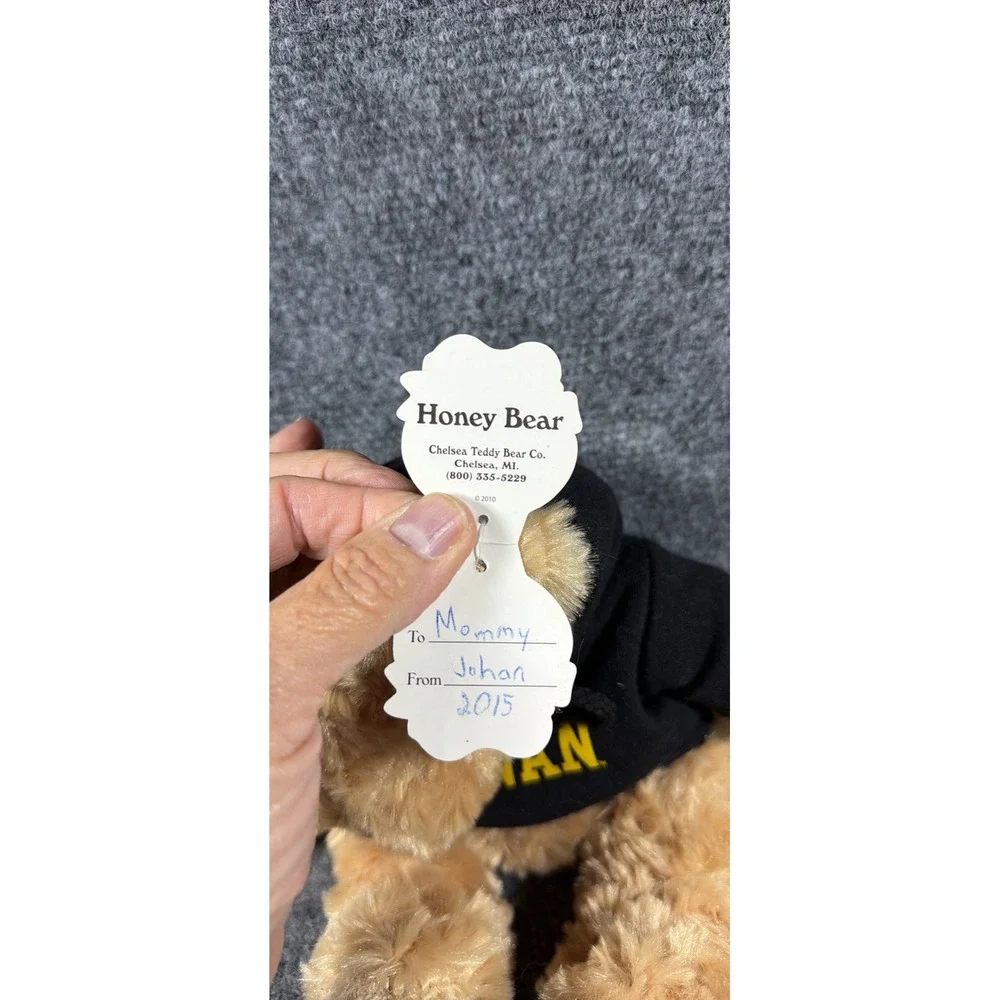 Chelsea Teddy Bear Co Rowan University Honey Bear Plush Black Hoodie 10 inch NWT